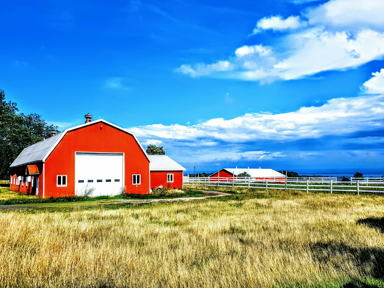 red and white barn house on brown grass field under blue sky during daytime, afrm